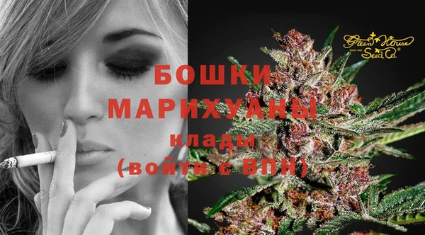 mix Богородицк