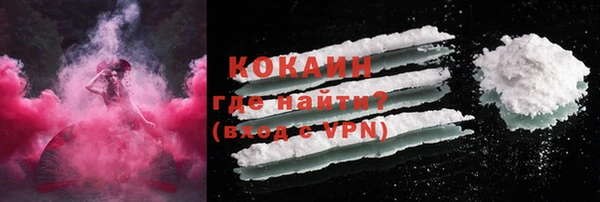 mix Богородицк