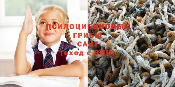 меф VHQ Богданович