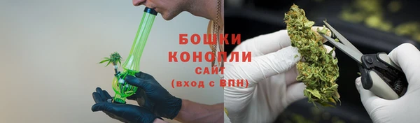mix Богородицк