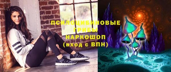 гашик Богородск