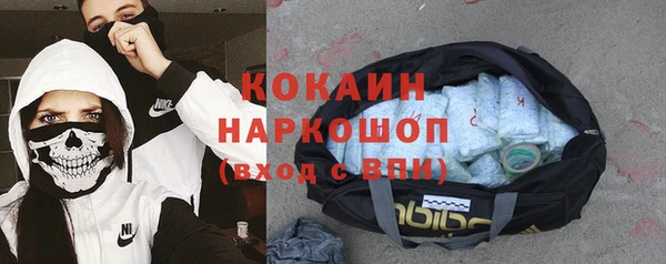 mix Богородицк
